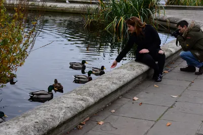 DSC_0547 (Large).JPG